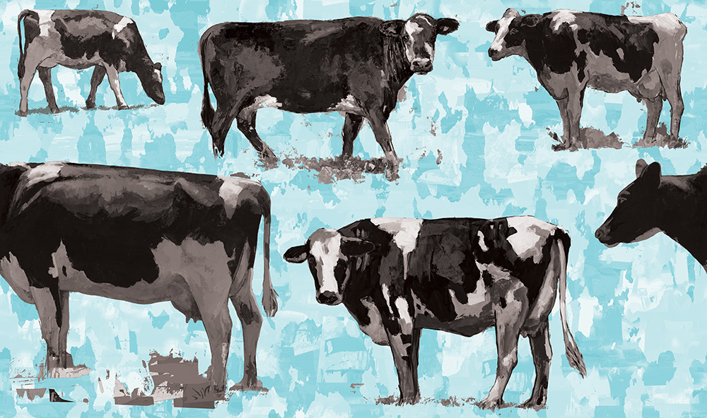 cow 6 retro Pop Art wallpaper by Los Angeles artist David Palmer for ROLLOUT